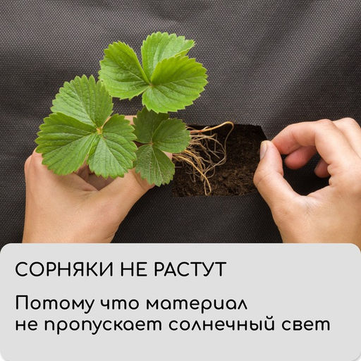 Материал мульчирующий, 10×1.6 м, плотность 60 г/м², спанбонд с УФ-стабилизатором, четыре ряда перфорации, чёрный, Greengo, Эконом 30%