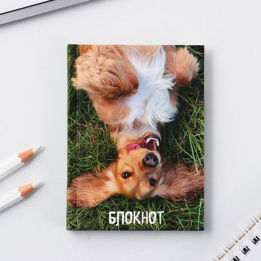 Блокноты в твердой обложке А7, 64 л Собака на траве