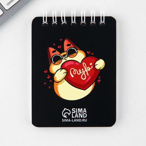 Подарочный набор канцелярский, ластики 2 шт., блокнот, карандаши «Котик»