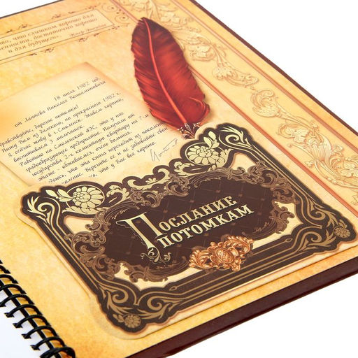 Родословная книга История семьи, 27 листов, 24.5 х 29.2 см - Семейные традиции фото 10