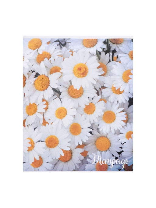 Набор тетрадей, 96 листов в клетку Calligrata "Цветы-1", серые листы, 4 штуки