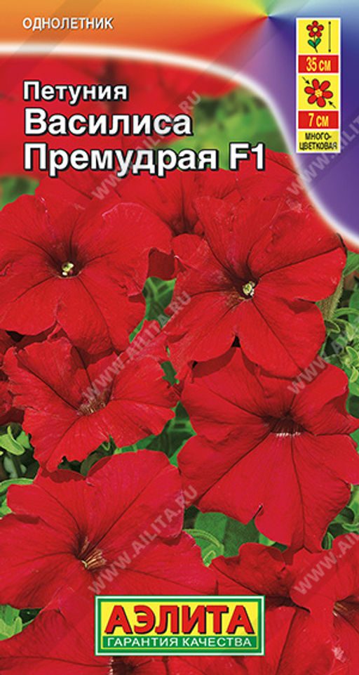 Петуния Василиса Премудрая F1 многоцветковая