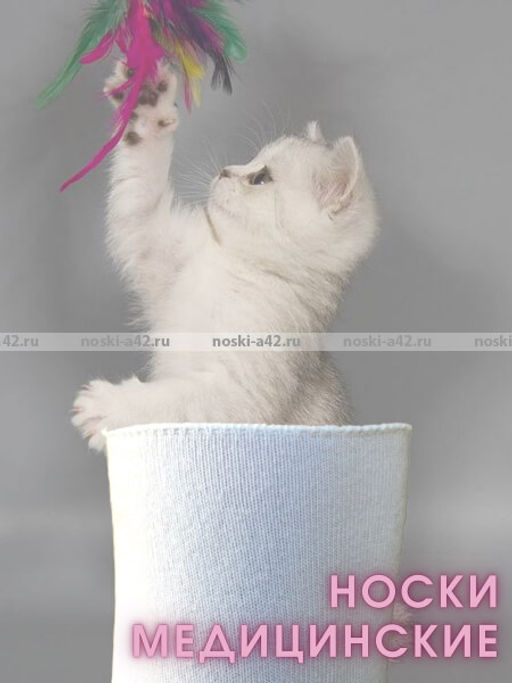 Цена за 5 пар. 5 ПАР - Ростекс (Рус-текс) носки медицинские женские Н-210 с лайкрой бежевые 25  фото 3