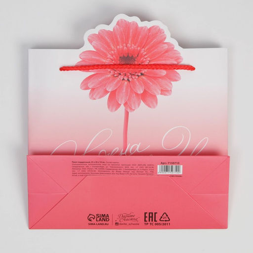 Пакет подарочный, упаковка, Flower, 25 х 26 х 10 см