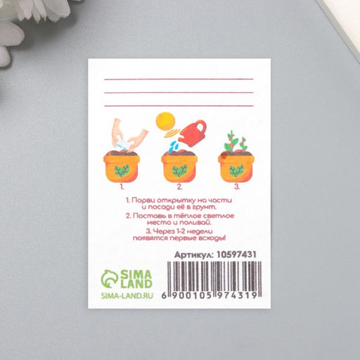 Цена за 2 шт. Открытка для выращивания «Арт Узор. Вырасти сам. С Днём Рождения» с семенами, 5×7 см