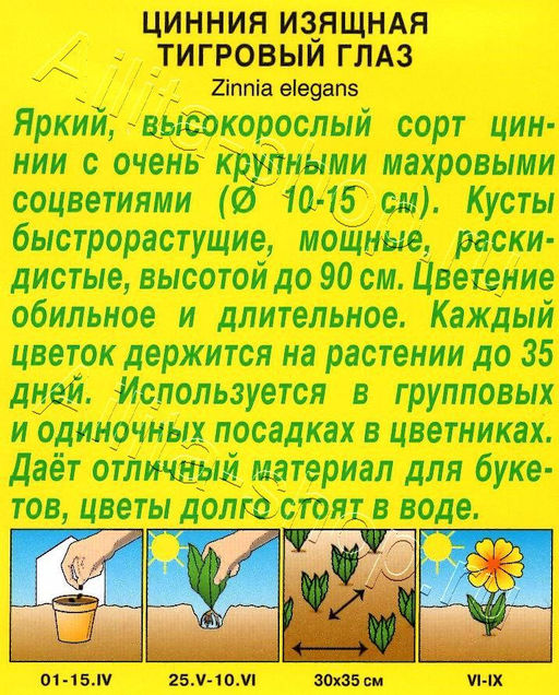 Цинния Тигровый глаз 0,3г (Аэлита)