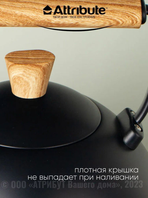 Чайник BLACKWOOD 2.5л со свистком