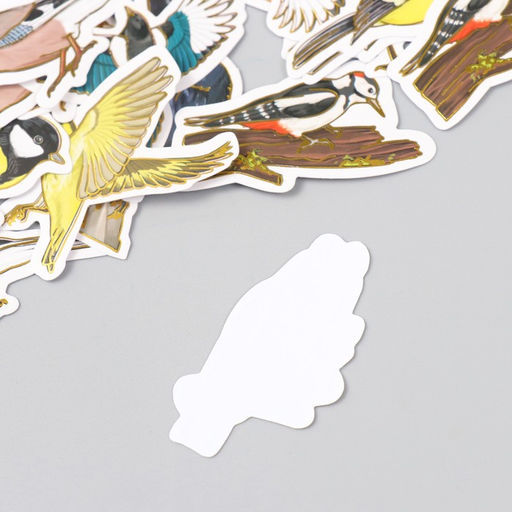 Наклейки для творчества Городские и лесные птицы тиснение золото набор 48 шт 9х7х0,8 см - Арт узор фото 4