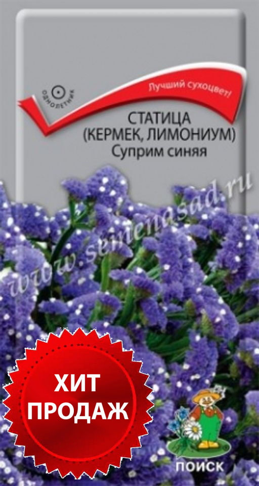 Статица (выемчатая) Суприм синяя (ЦВ) (1) 0,15 гр. - Поиск фото 2