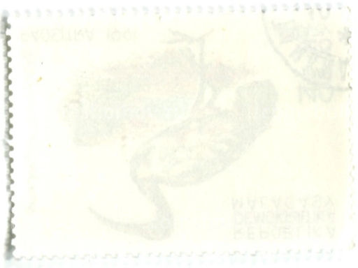 Марка Священный ибис 1991 год Мадагаскар