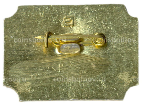 Значок Санкт-Петербург Дворец -музей А.Д.Меншикова