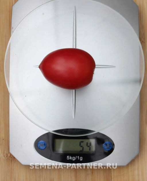 Томат Лапочка - Партнер фото 4