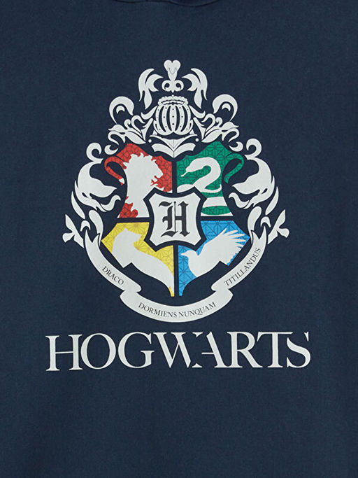 Harry Potter Bask?l? Erkek ?ocuk Kal?n Sweatshirt