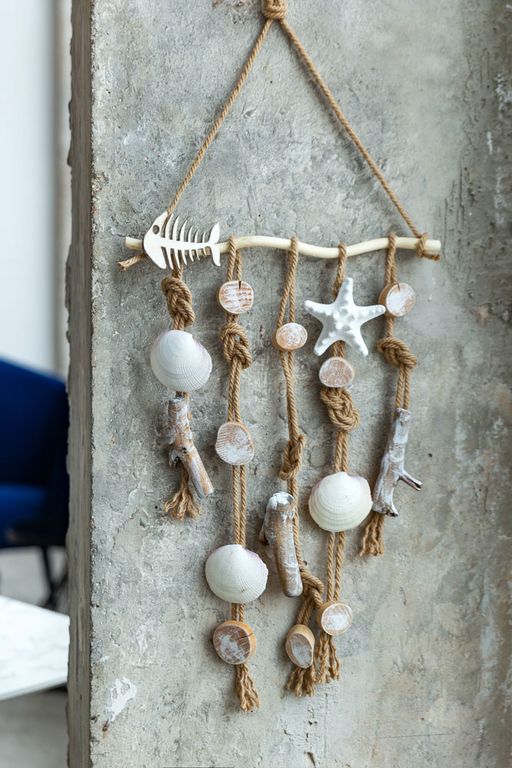 Blumentag / Zlatka DRF-001 Ракушки морские 3 шт. 8.2 см Codakia Tigrina