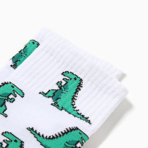 Носки женские KAFTAN «Дино», размер 36-40 (23-25 см)