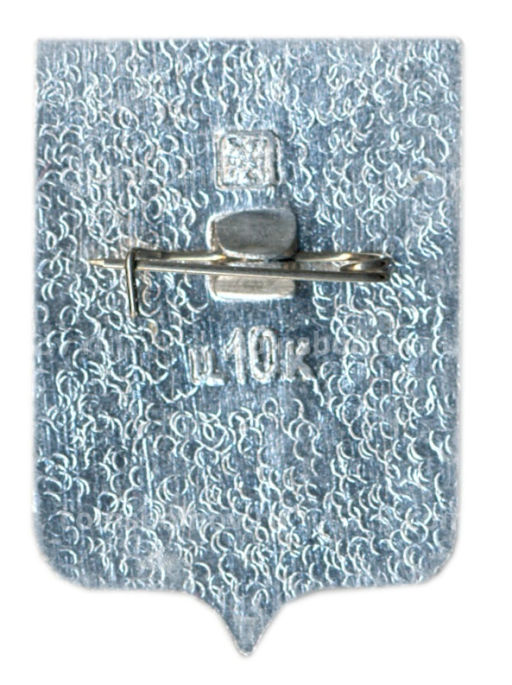 Значок Тамбов