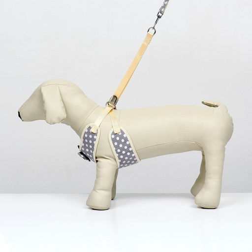 Комплект с мягкой шлейкой Горох, размер М, поводок 120 х 1,5 см, ОГ 34-66 см, серый - Пижон фото 2