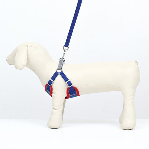 Комплект Sport+, S, поводок 150 x 1,5 см, ОШ 39-41 см, ОГ 44-48 см, вес животного 7-13 кг, синий 96 - Пижон фото 2