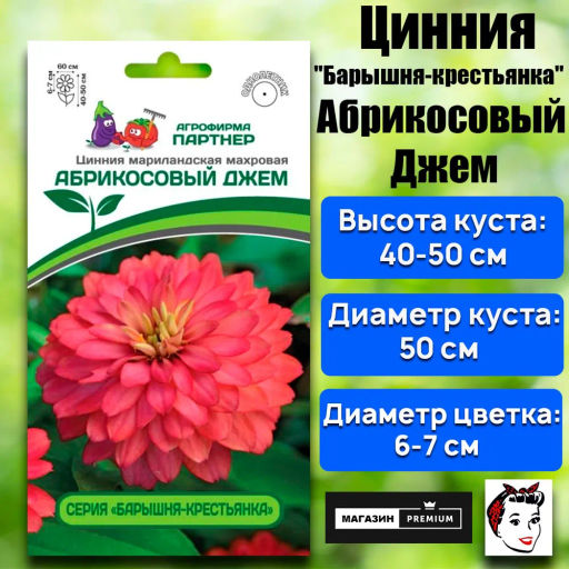 Цинния махровая Барышня-крестьянка Абрикосовый Джем - Партнер фото 2