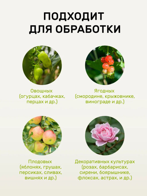 Спрей от мучнистой росы 450 мл - Люби, Выращивай! фото 4