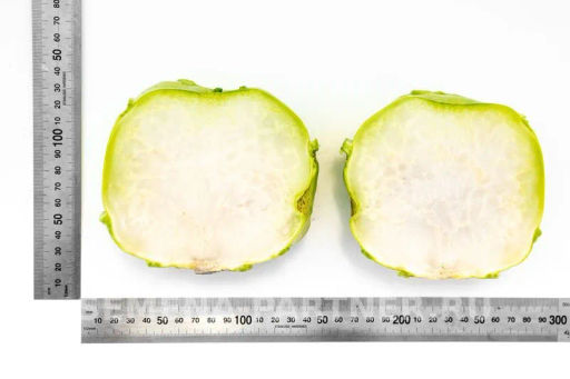 Капуста кольраби Корист - Партнер фото 5