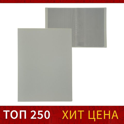 Цена за 3 шт. Папка с 10 вкладышами А4, 500 мкм, Calligrata, текстура «песок», серая