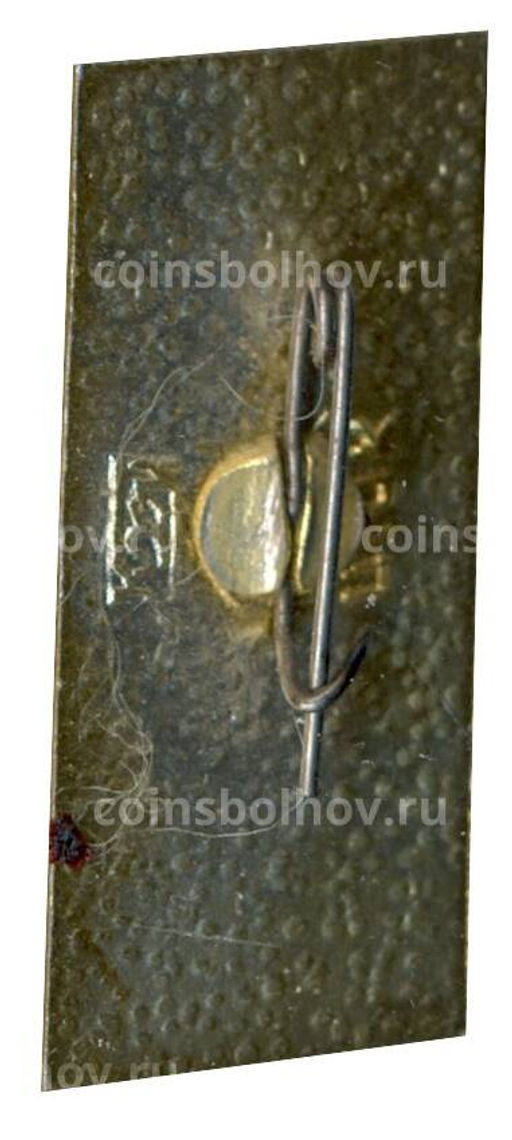 Значок Нижний Новгород