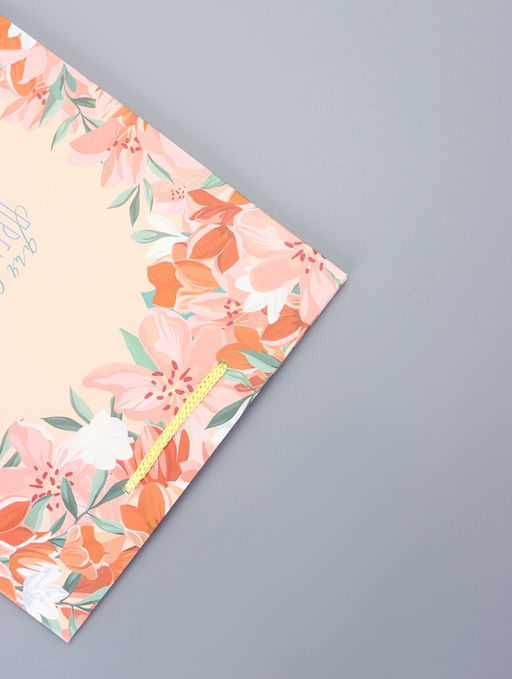 Цена за 2 шт. Пакет подарочный ламинированный Радость 18?22.3?10 см