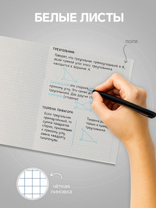 Цена за 2 шт. Тетрадь 96 листов в клетку, Calligrata King&apos;s school, МИКС