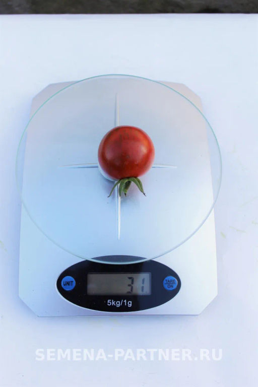 Томат Бурый Коктейль - Партнер фото 8