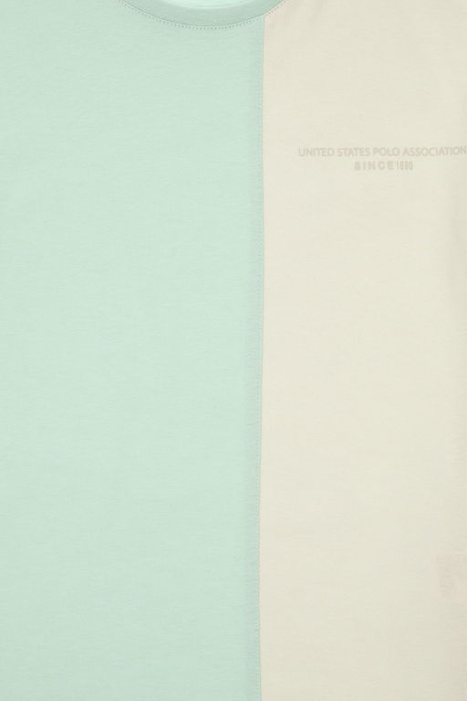 Erkek _ocuk Mint Oversize Bisikelt Yaka Ti__rt Sepette S_rpriz _ndirim - U.s. polo assn фото 3