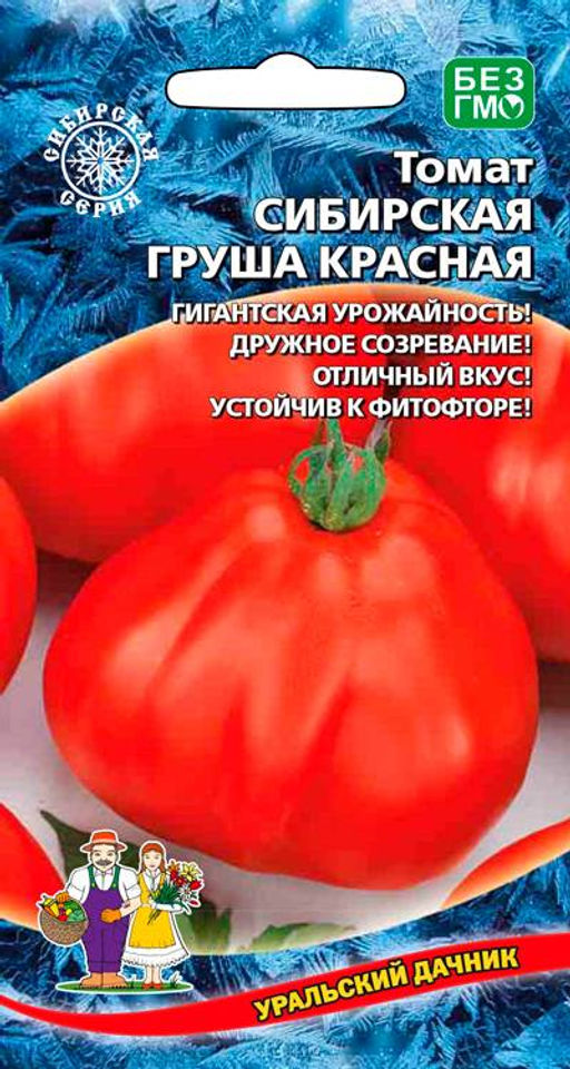 Томат СИБИРСКАЯ ГРУША КРАСНАЯ Гигантская урожайность! Дружное созревание! Отличный вкус! Устойчив к фитофторе!