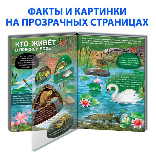 Книга с прозрачными страницами Жизнь на земле. Животные и где они обитают, 30 стр. - Буква-ленд фото 3