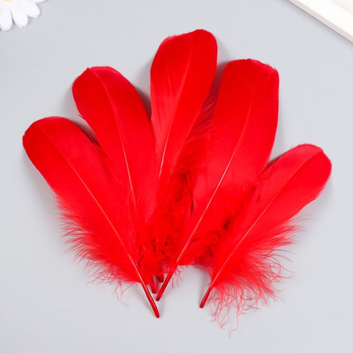 Набор декоративных перьев 160-190 мм (5 шт), красный