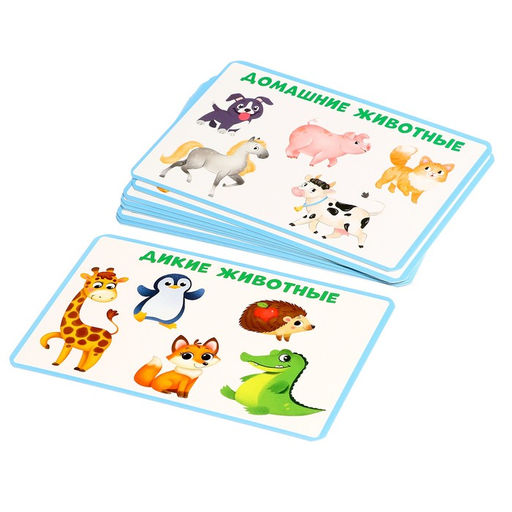 Развивающий набор Классификация предметов - Iq-zabiaka фото 3