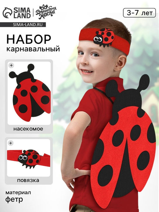 Карнавальный набор «Весёлые насекомые»: повязка и божья коровка из фетра, 3–7 лет