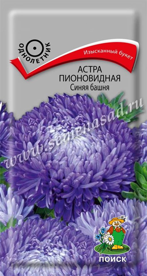 Астра (однолетняя) пионовидная Синяя башня (ЦВ) ("1) 0,3гр.