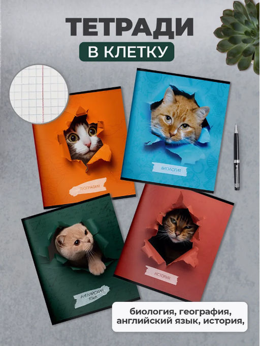 Комплект тетрадей 48 л. А5 клетка/линия, на скрепке,ЛЮБОПЫТНЫЙ КОТИК ,Schoolformat - Buro фото 2