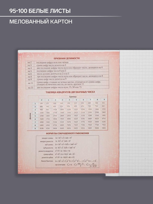 Цена за 10 шт. Тетрадь предметная, 48 листов в клетку Calligrata, Неон. Алгебра фото 2