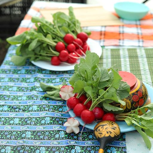 Редис КРАСА АЛТАЯ  Раннеспелый! Теневыносливый! В холодильнике хранится до 30 дней! Сибирская селекция! - Уральский дачник фото 5