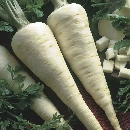 6225U Петрушка Пикантная 1гр