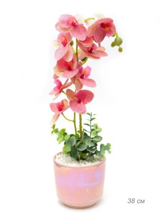 Цветочная композиция Орхидея 38 см / 0213-152 /уп 24/ - Галеонтрейд фото 5