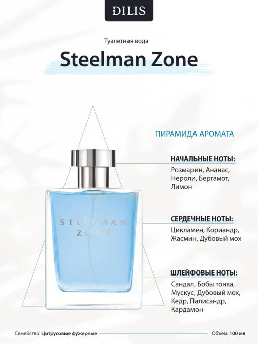 Dilis STEELMAN ZONE Туалетная вода для мужчин 100мл  фото 3