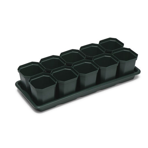 Набор для рассады: стаканы по 300 мл (10 шт.), поддон 41×17 см, цвет МИКС