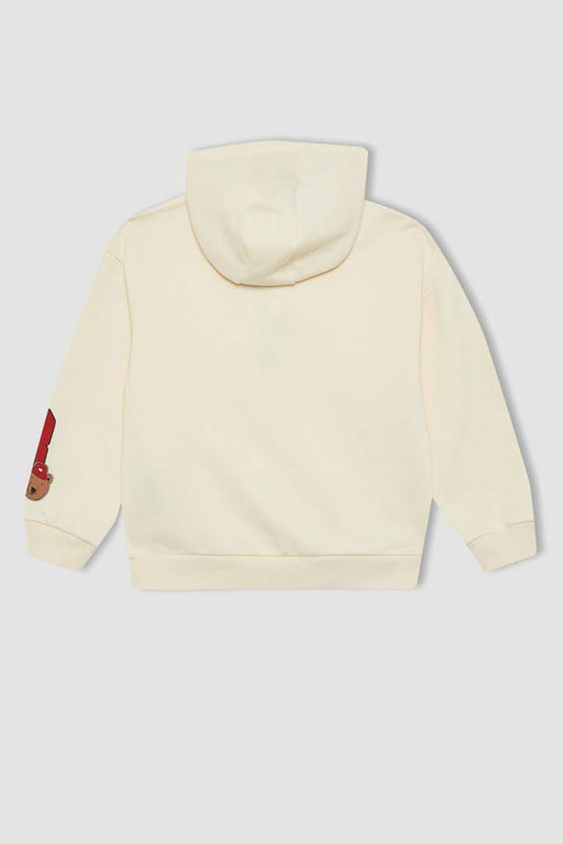 Толстая толстая толстовка на мягкой подкладке с капюшоном и принтом для девочек - Defacto фото 8