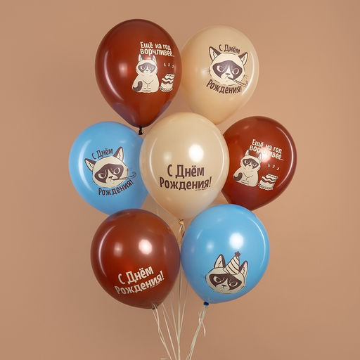 Воздушные шары латексные 12" "С Днем Рождения! (Сердитая кошка)" 2 ст., МИКС, набор 25 шт.