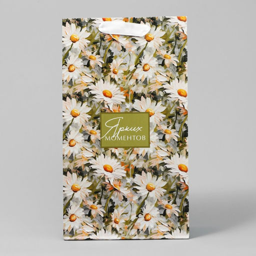 Пакет подарочный под две бутылки, упаковка, «Яркие моменты», 35×20×9 см