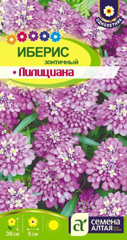 Иберис Лилициана зонтичный/Сем Алт/цп 0,3 гр .