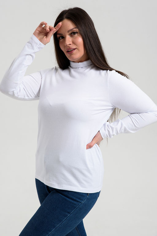 14439/2 Водолазка женская