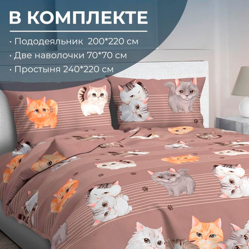 3504